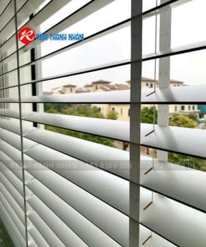 Chất liệu gỗ Basswood tự nhiên